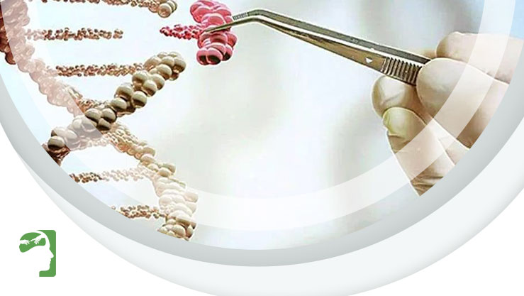 Cientista que criou bebês humanos geneticamente modificados deixa prisão na China