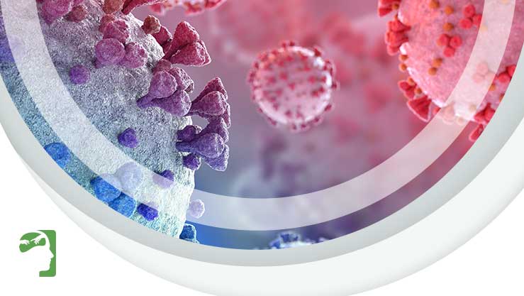 Saiba os riscos da XBB.1.5, nova variante do coronavírus em alta nos EUA